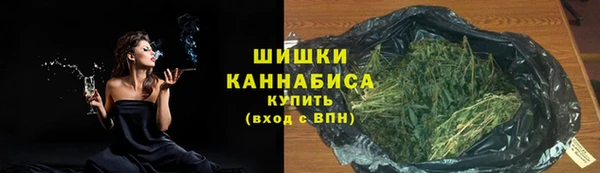 гидра Зеленокумск