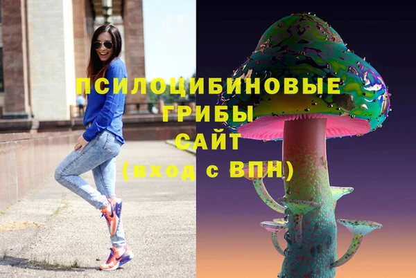 ешки Зерноград