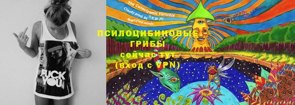 ешки Зерноград