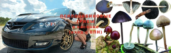 ешки Зерноград