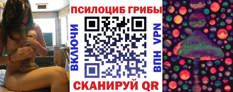 Купить  Грязи  Галлюциногенные грибы мицелий 